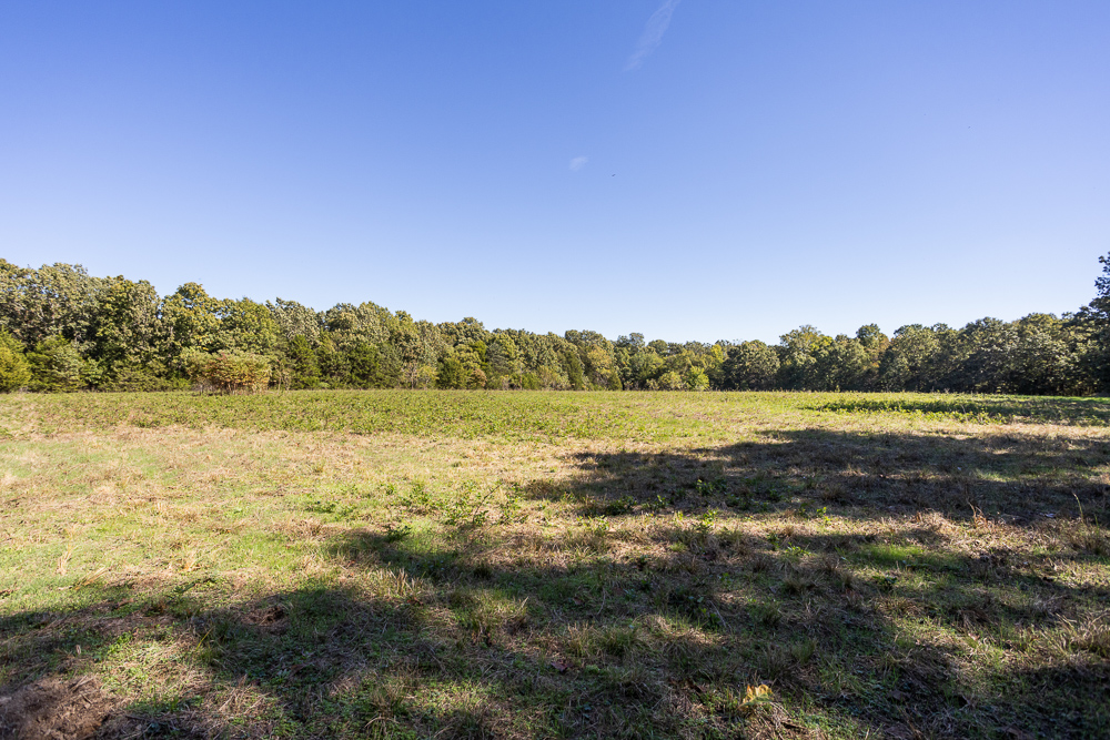 Top of the Line Dog Boarding and Breeding Facility on 30 +/- Acres