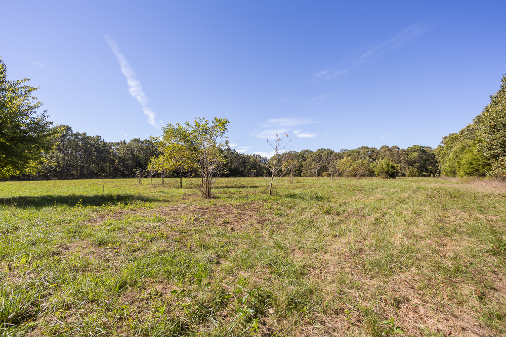 Top of the Line Dog Boarding and Breeding Facility on 30 +/- Acres