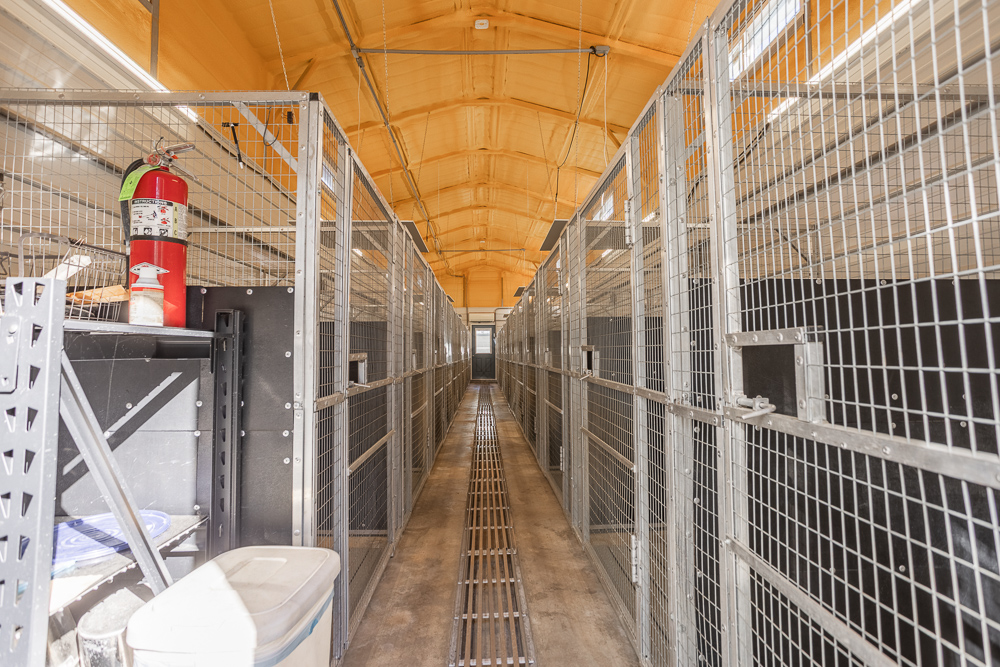 Top of the Line Dog Boarding and Breeding Facility on 30 +/- Acres