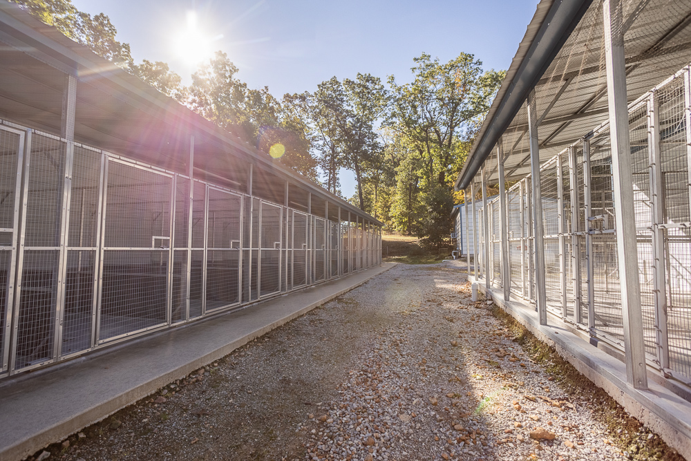 Top of the Line Dog Boarding and Breeding Facility on 30 +/- Acres