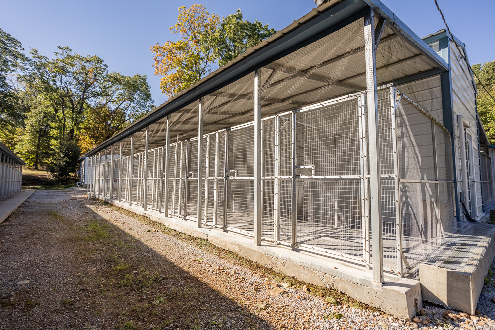 Top of the Line Dog Boarding and Breeding Facility on 30 +/- Acres