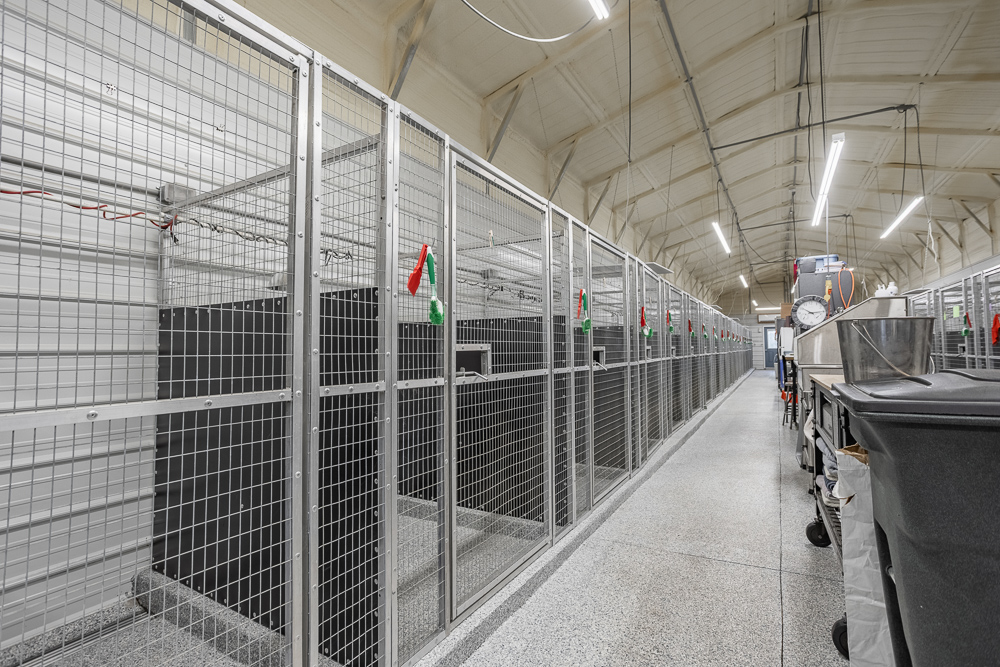 Top of the Line Dog Boarding and Breeding Facility on 30 +/- Acres