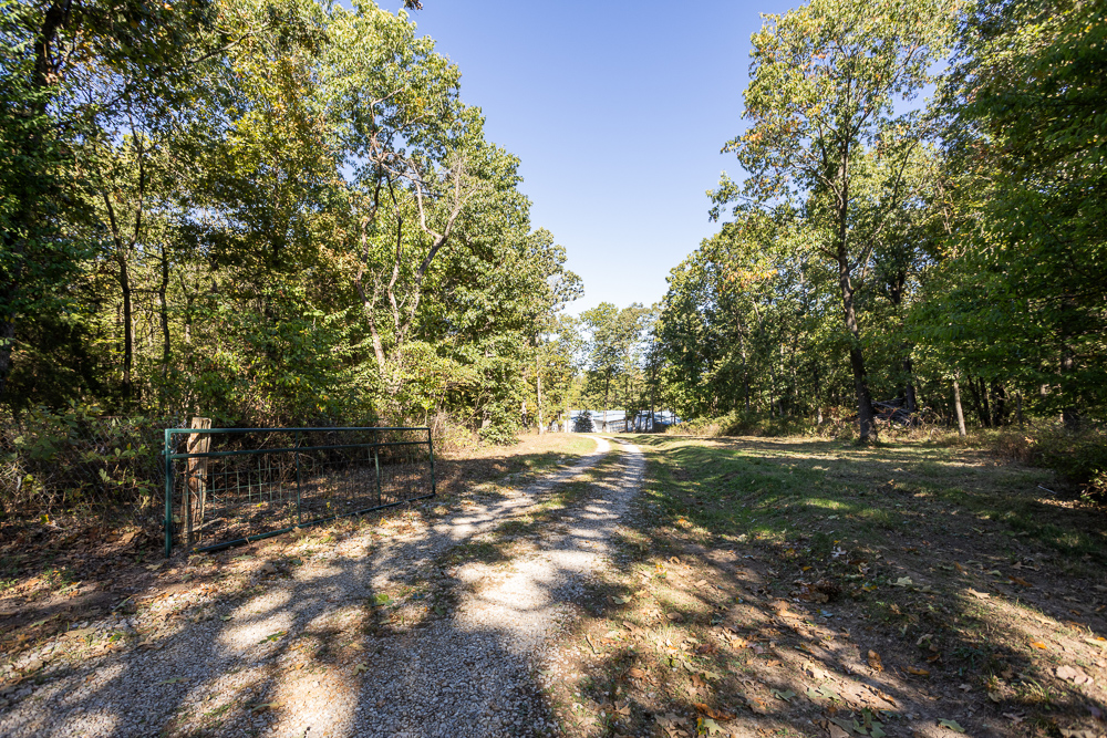 Top of the Line Dog Boarding and Breeding Facility on 30 +/- Acres