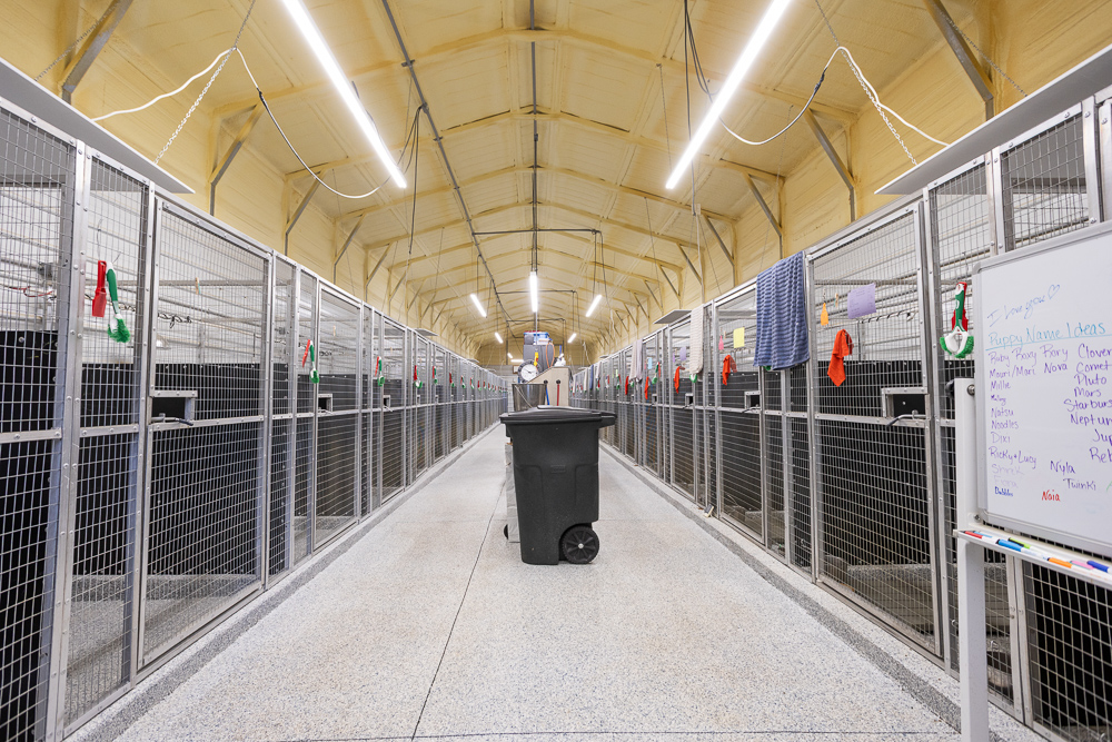 Top of the Line Dog Boarding and Breeding Facility on 30 +/- Acres