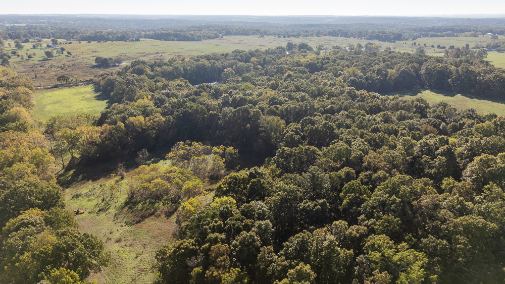 Top of the Line Dog Boarding and Breeding Facility on 30 +/- Acres