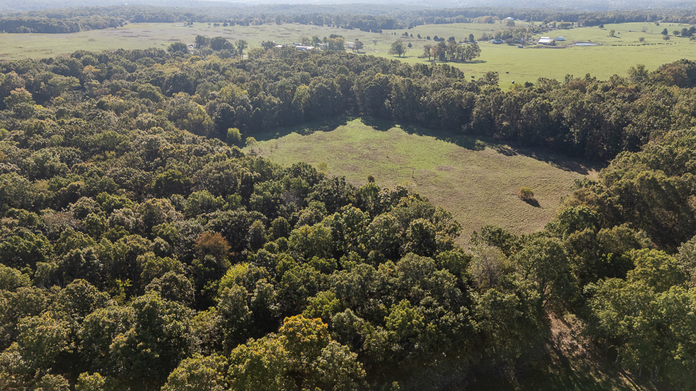 Top of the Line Dog Boarding and Breeding Facility on 30 +/- Acres