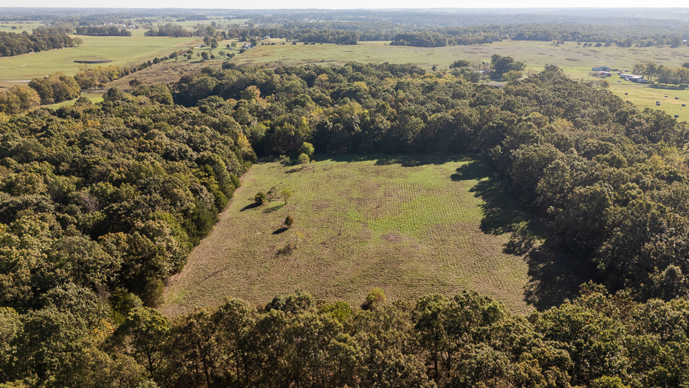 Top of the Line Dog Boarding and Breeding Facility on 30 +/- Acres