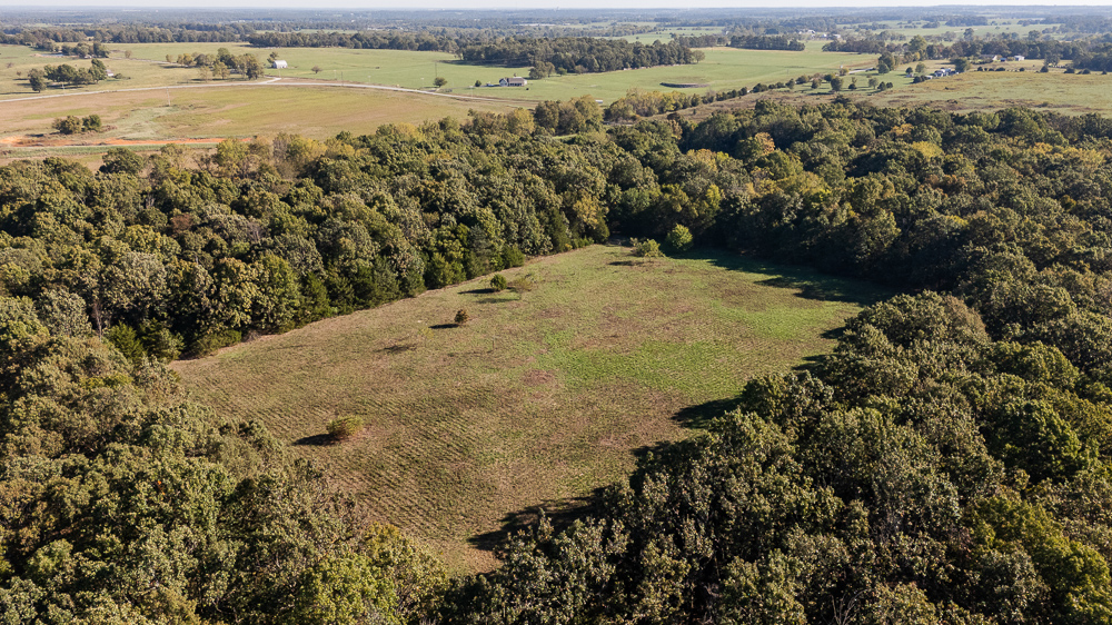 Top of the Line Dog Boarding and Breeding Facility on 30 +/- Acres