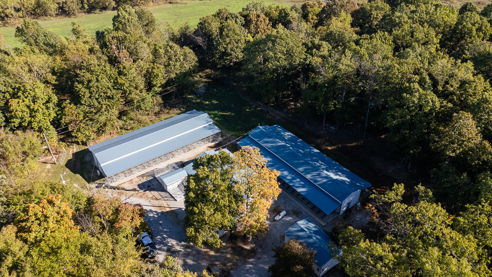 Top of the Line Dog Boarding and Breeding Facility on 30 +/- Acres