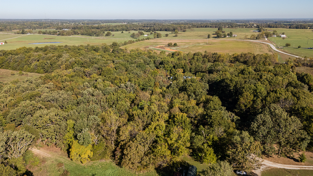 Top of the Line Dog Boarding and Breeding Facility on 30 +/- Acres