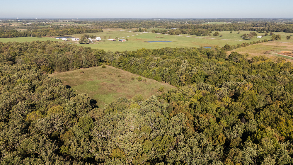 Top of the Line Dog Boarding and Breeding Facility on 30 +/- Acres