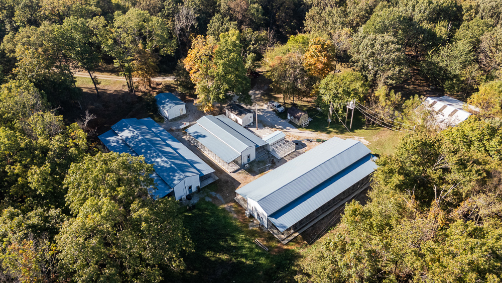 Top of the Line Dog Boarding and Breeding Facility on 30 +/- Acres