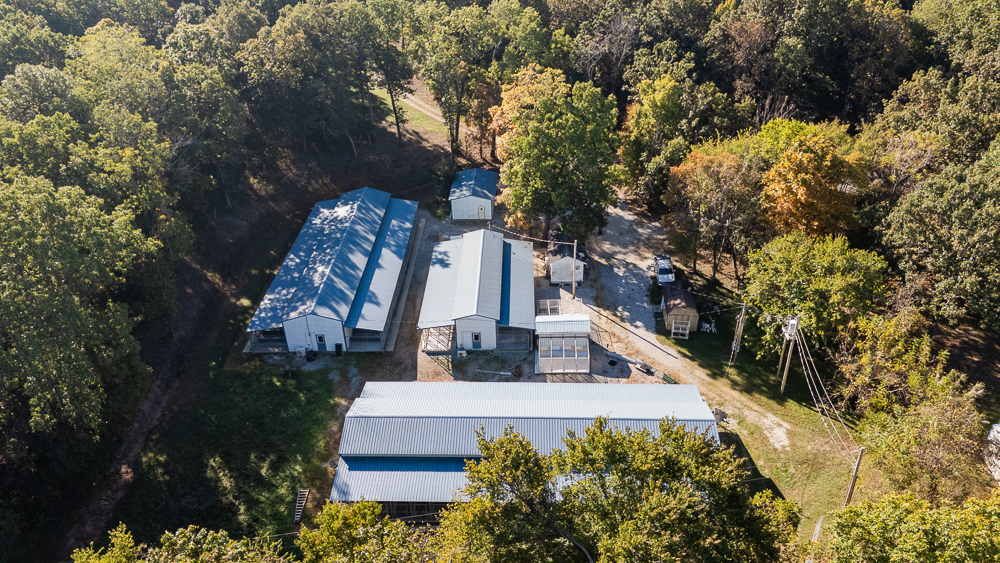 Top of the Line Dog Boarding and Breeding Facility on 30 +/- Acres