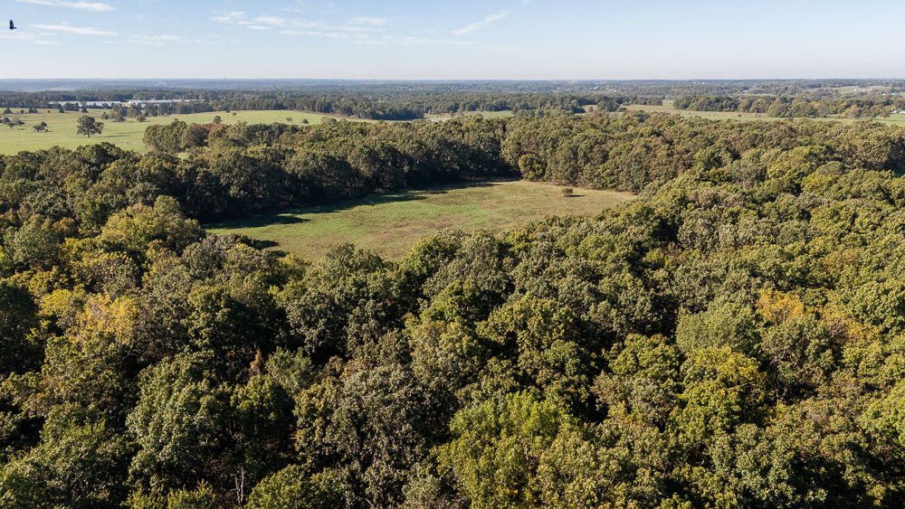 Top of the Line Dog Boarding and Breeding Facility on 30 +/- Acres