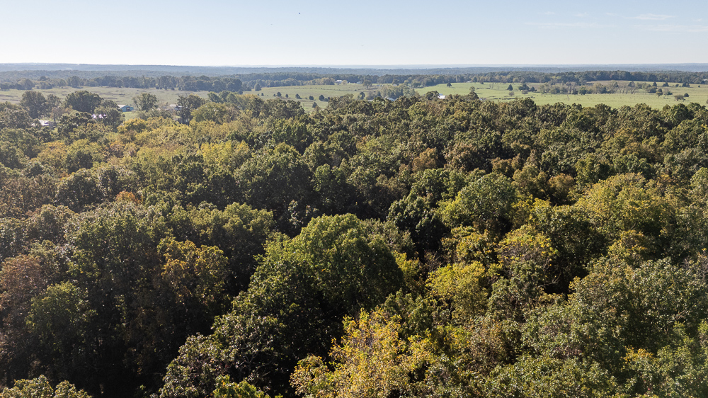 Top of the Line Dog Boarding and Breeding Facility on 30 +/- Acres
