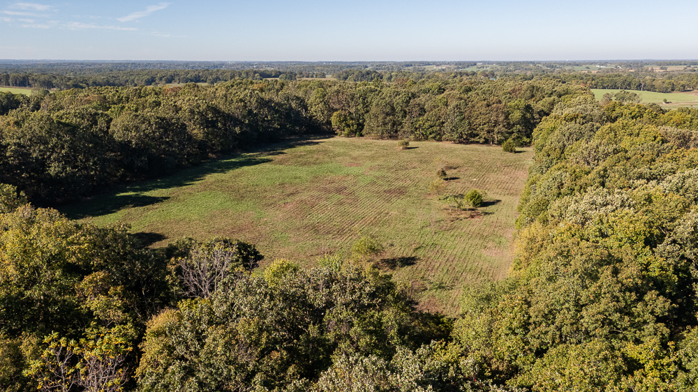 Top of the Line Dog Boarding and Breeding Facility on 30 +/- Acres