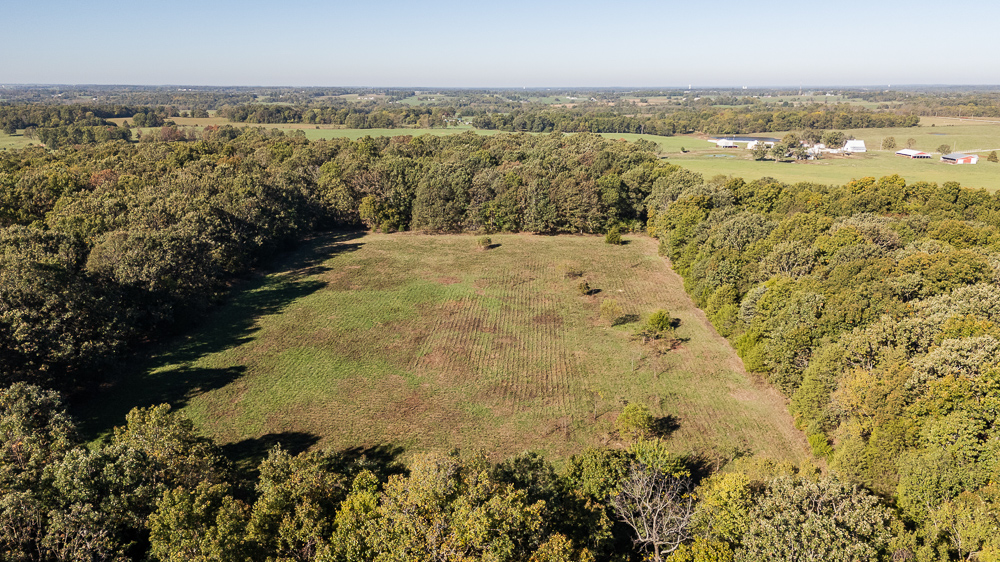 Top of the Line Dog Boarding and Breeding Facility on 30 +/- Acres