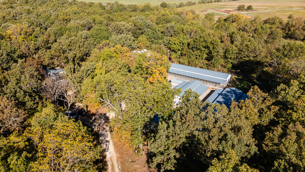 Top of the Line Dog Boarding and Breeding Facility on 30 +/- Acres