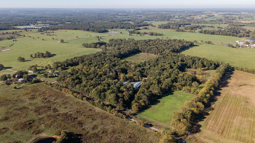 Top of the Line Dog Boarding and Breeding Facility on 30 +/- Acres