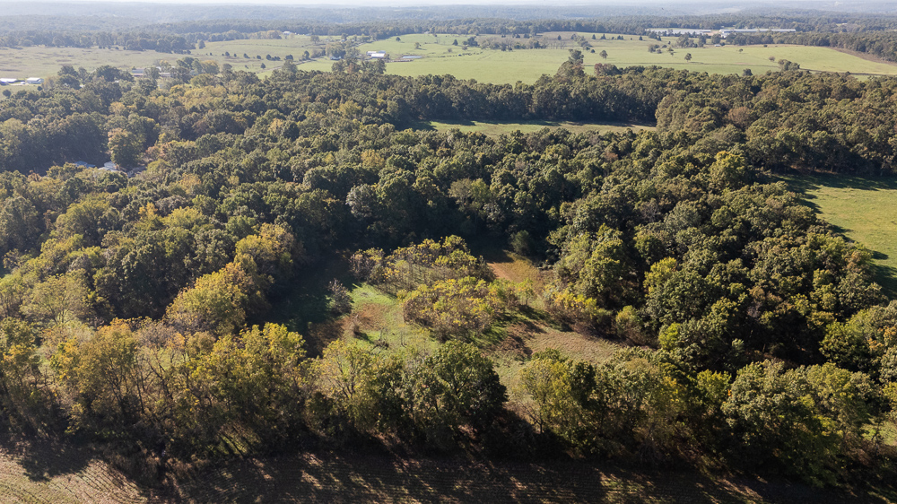 Top of the Line Dog Boarding and Breeding Facility on 30 +/- Acres