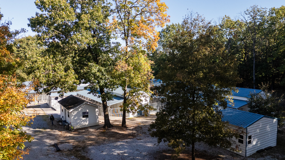Top of the Line Dog Boarding and Breeding Facility on 30 +/- Acres