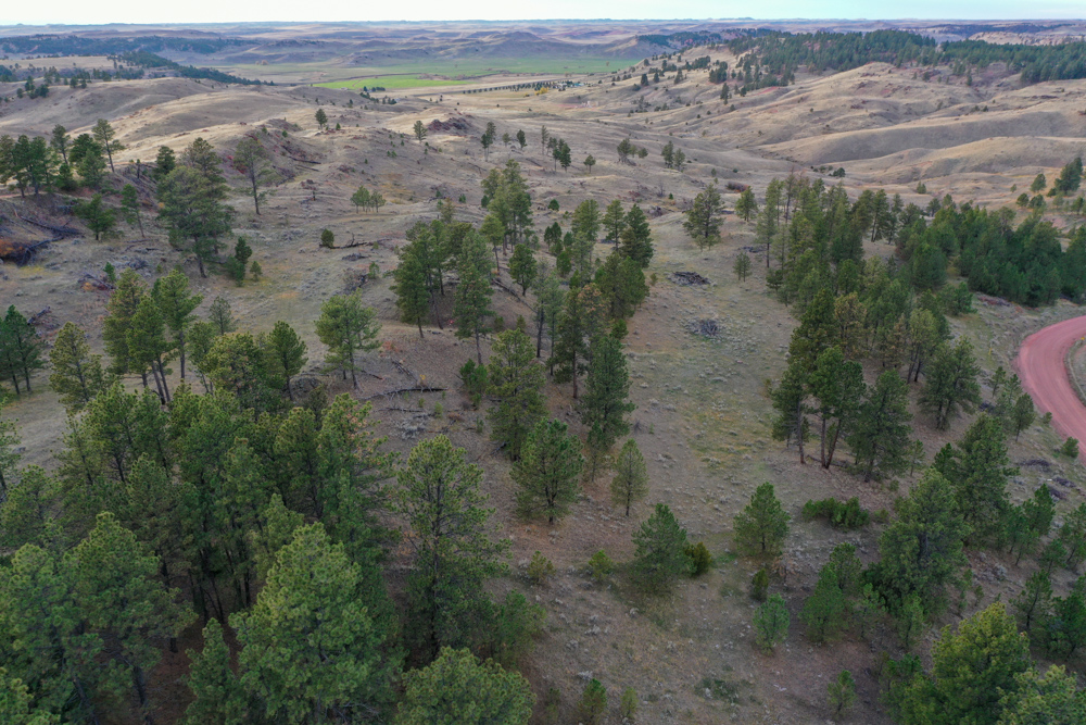 Pine Valley Build Site - Broad Axe Tract A5