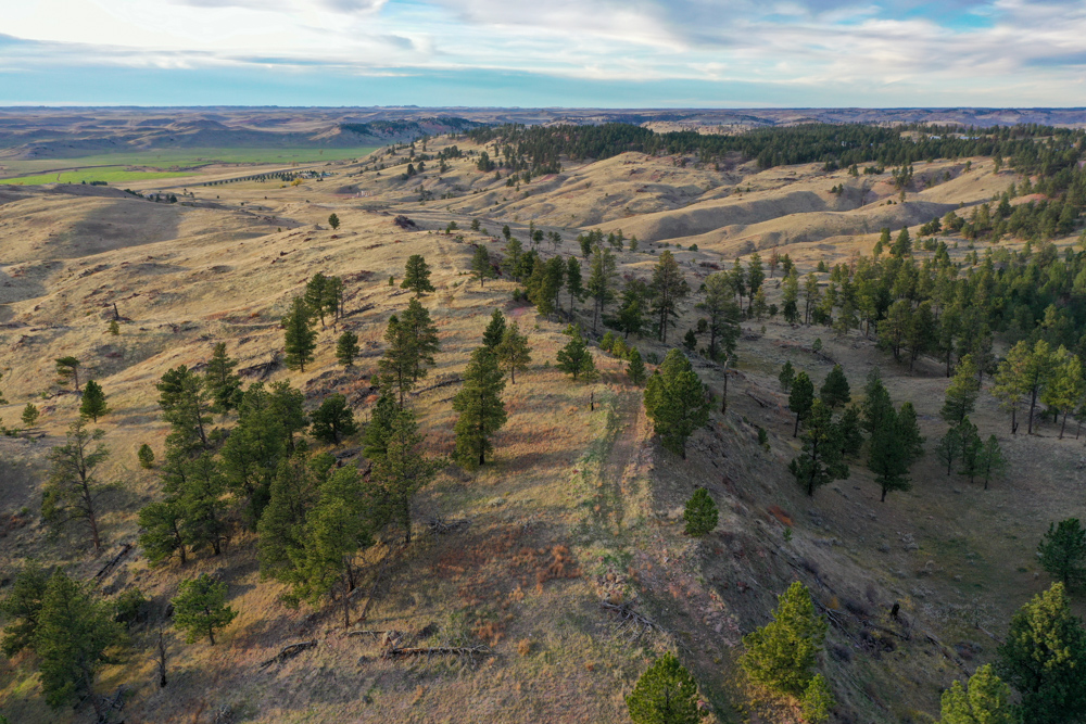 Pine Valley Build Site - Broad Axe Tract A5