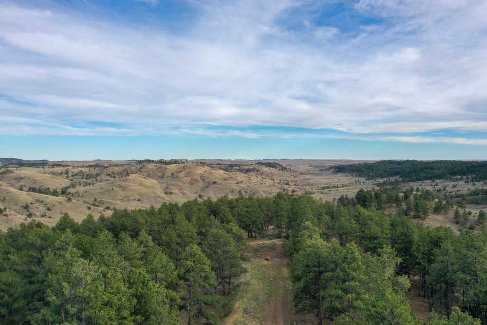 45 +/- Acre Timbered Ridge Build-Site - Broad Axe Tract A3
