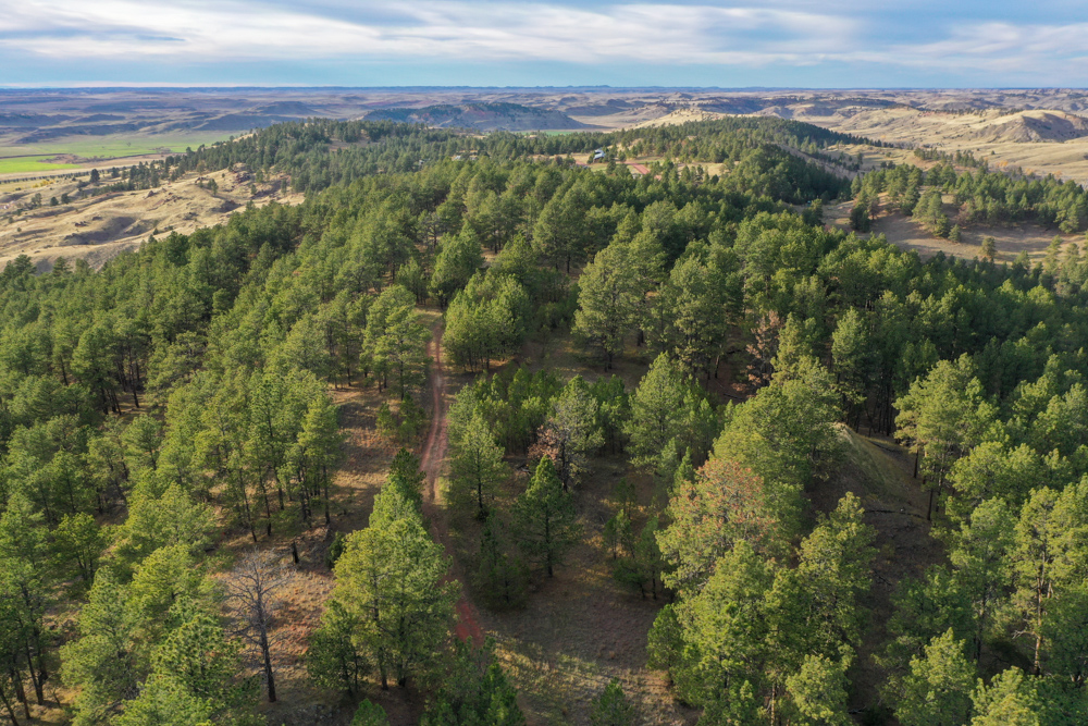45 +/- Acre Timbered Ridge Build-Site - Broad Axe Tract A3