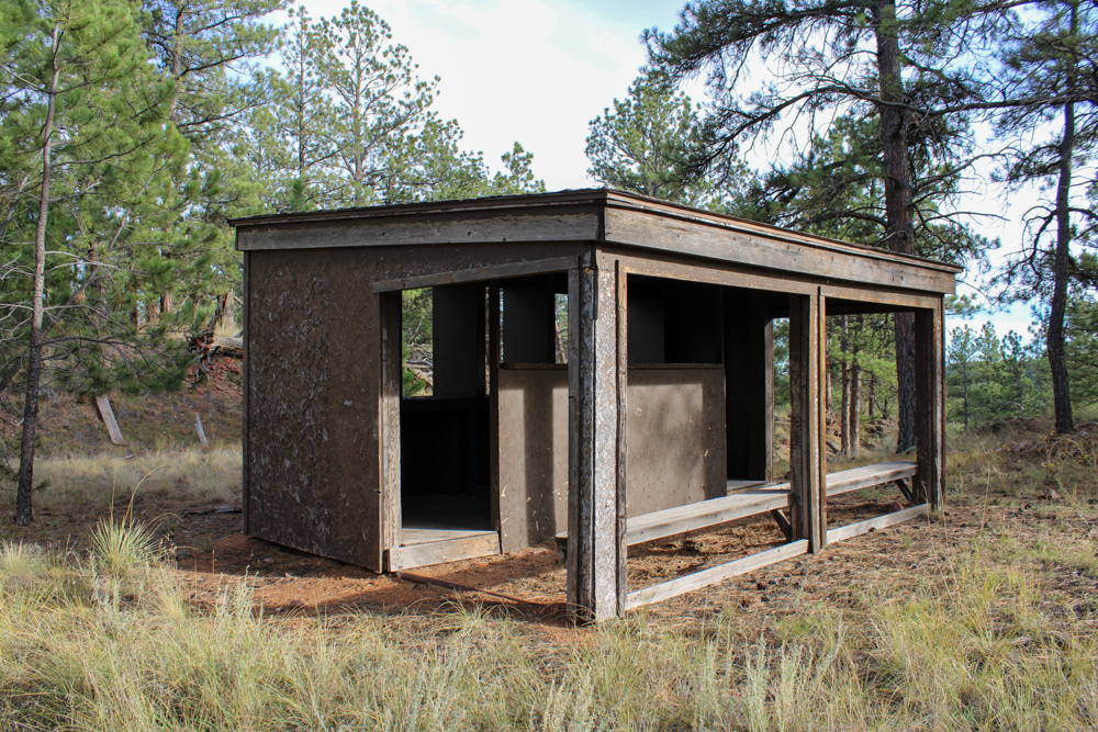 45 +/- Acre Timbered Ridge Build-Site - Broad Axe Tract A3