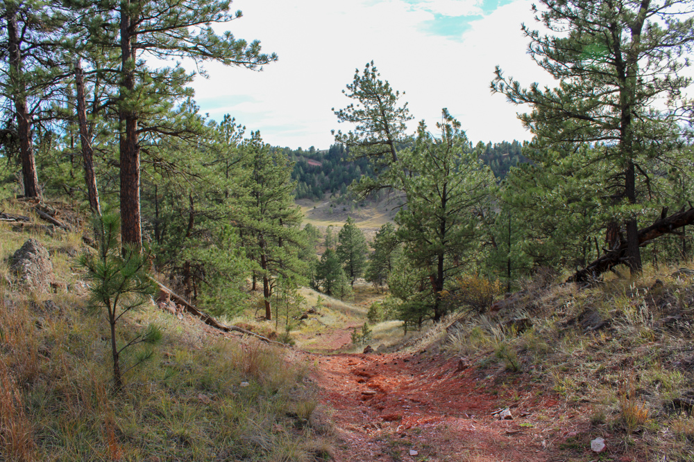 45 +/- Acre Timbered Ridge Build-Site - Broad Axe Tract A3