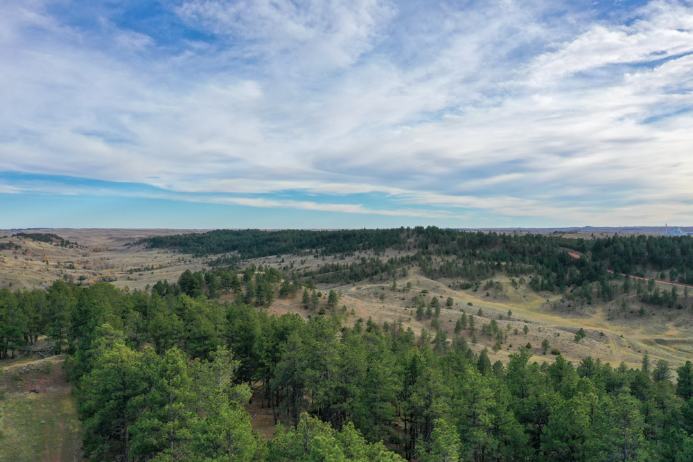 45 +/- Acre Timbered Ridge Build-Site - Broad Axe Tract A3