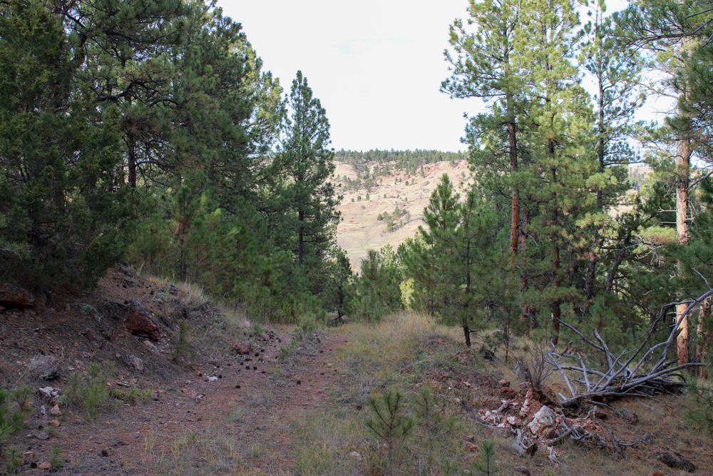 45 +/- Acre Timbered Ridge Build-Site - Broad Axe Tract A3