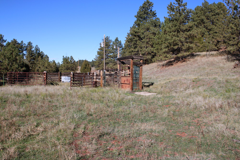 45 +/- Acre Timbered Ridge Build-Site - Broad Axe Tract A3