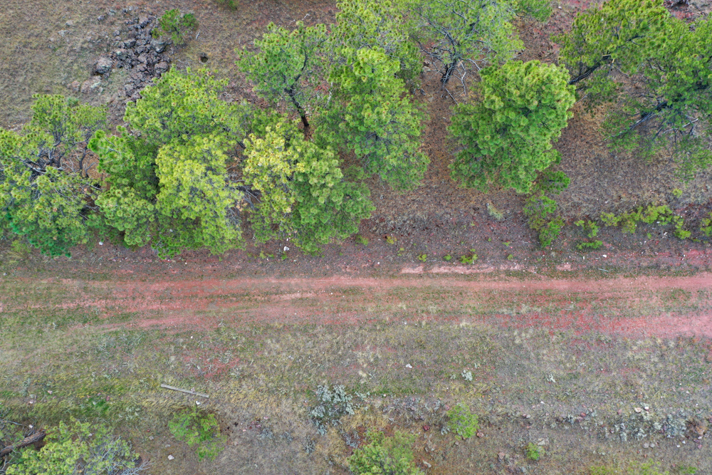 45 +/- Acre Timbered Ridge Build-Site - Broad Axe Tract A3