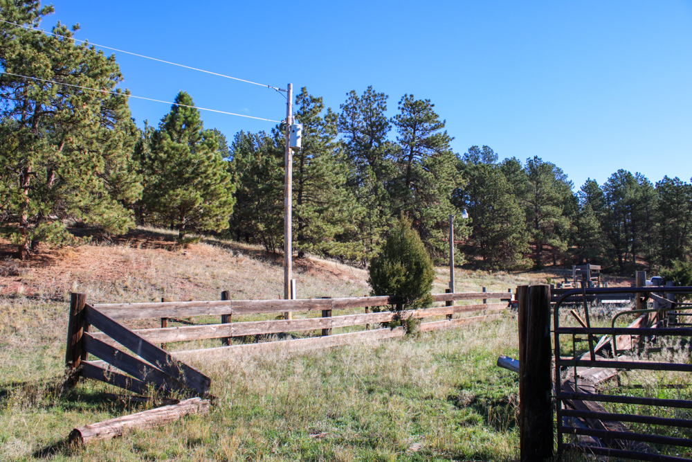 45 +/- Acre Timbered Ridge Build-Site - Broad Axe Tract A3