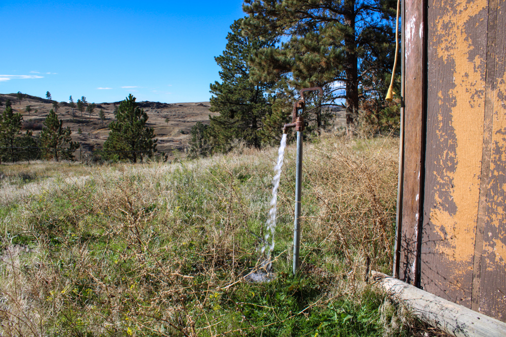 45 +/- Acre Timbered Ridge Build-Site - Broad Axe Tract A3