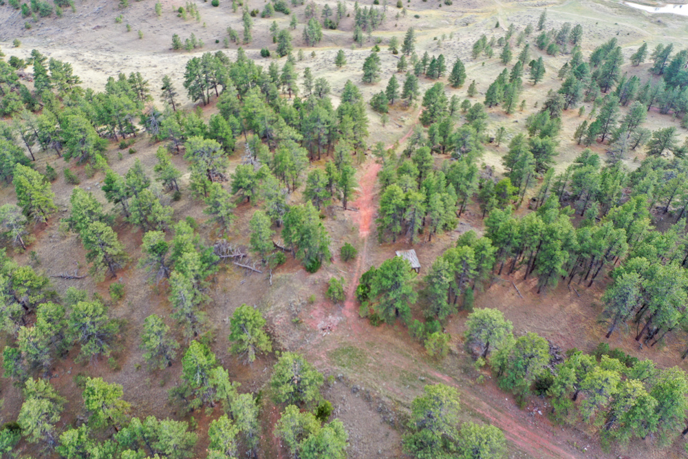 45 +/- Acre Timbered Ridge Build-Site - Broad Axe Tract A3