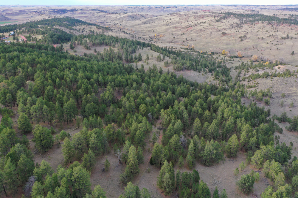 45 +/- Acre Timbered Ridge Build-Site - Broad Axe Tract A3