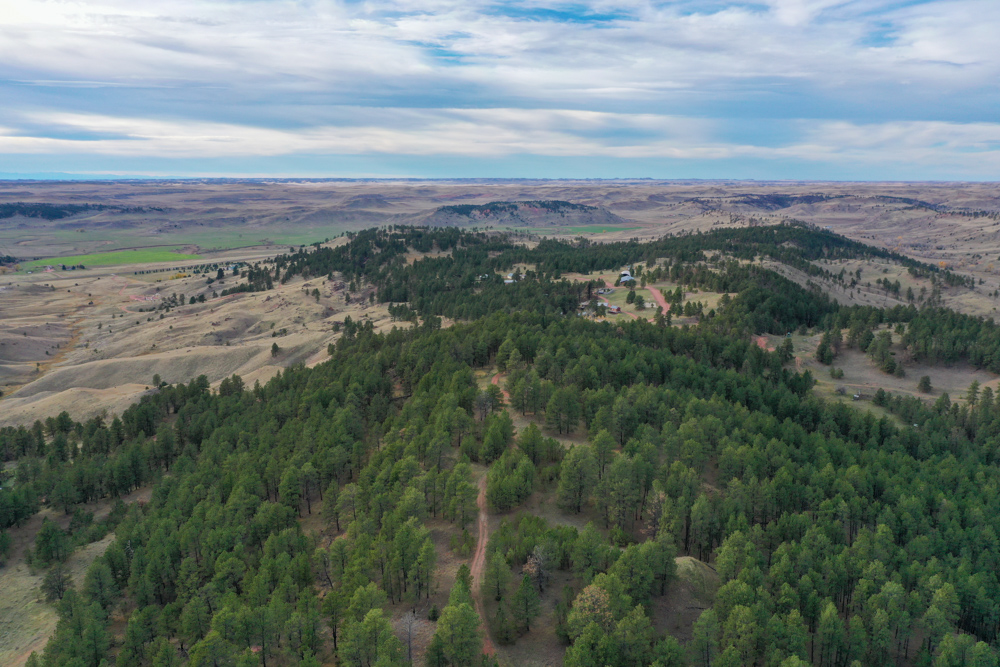 45 +/- Acre Timbered Ridge Build-Site - Broad Axe Tract A3