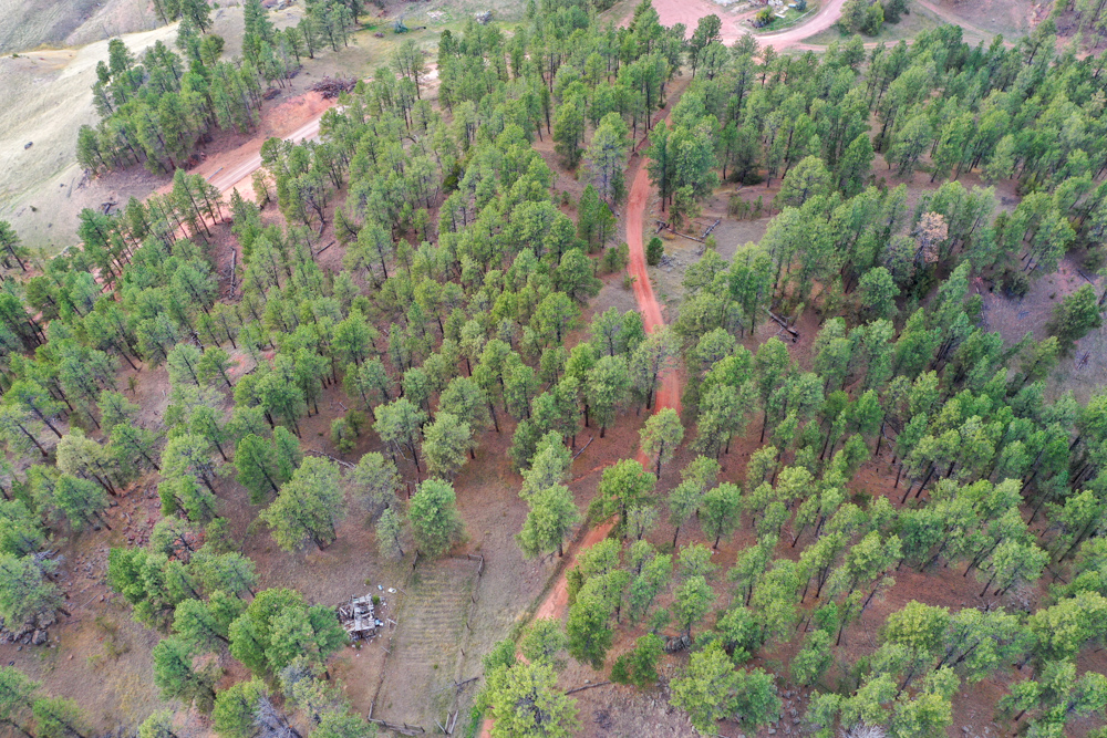 45 +/- Acre Timbered Ridge Build-Site - Broad Axe Tract A3