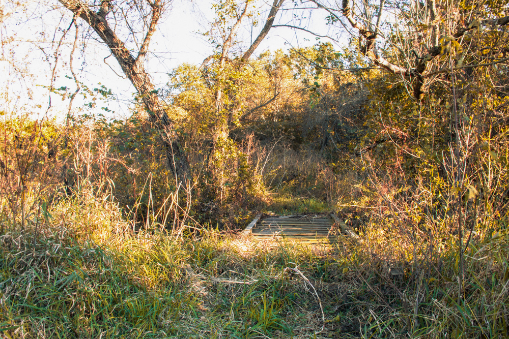 Country Living with Income