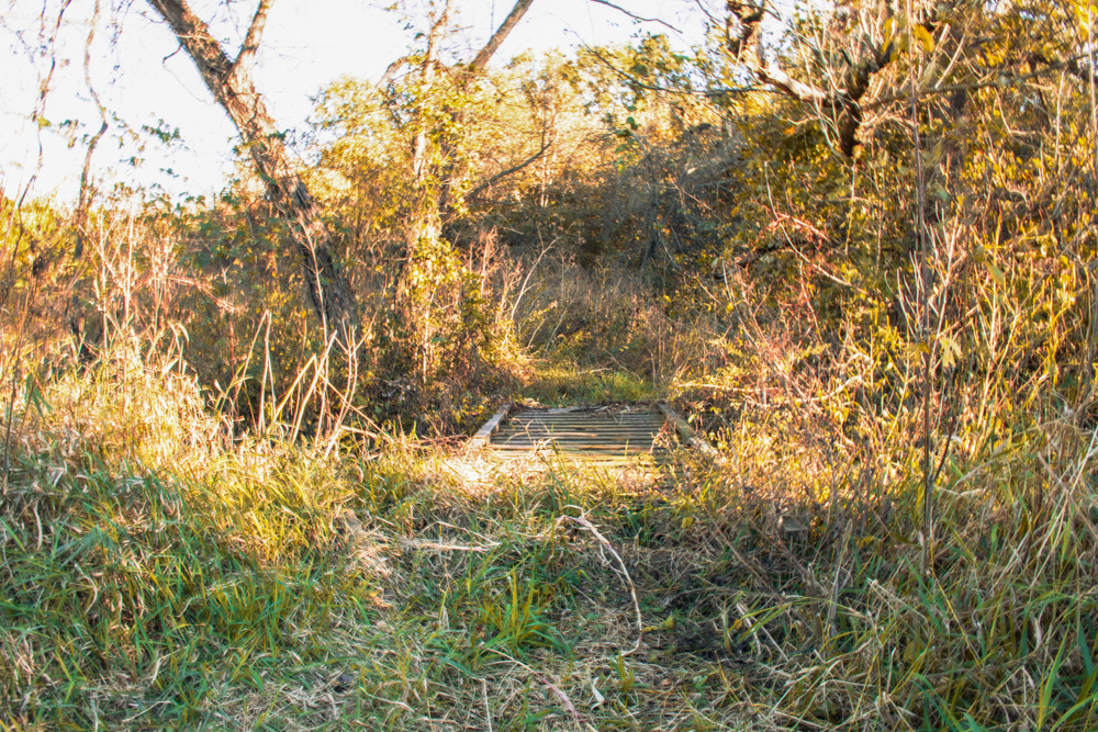 Country Living with Income