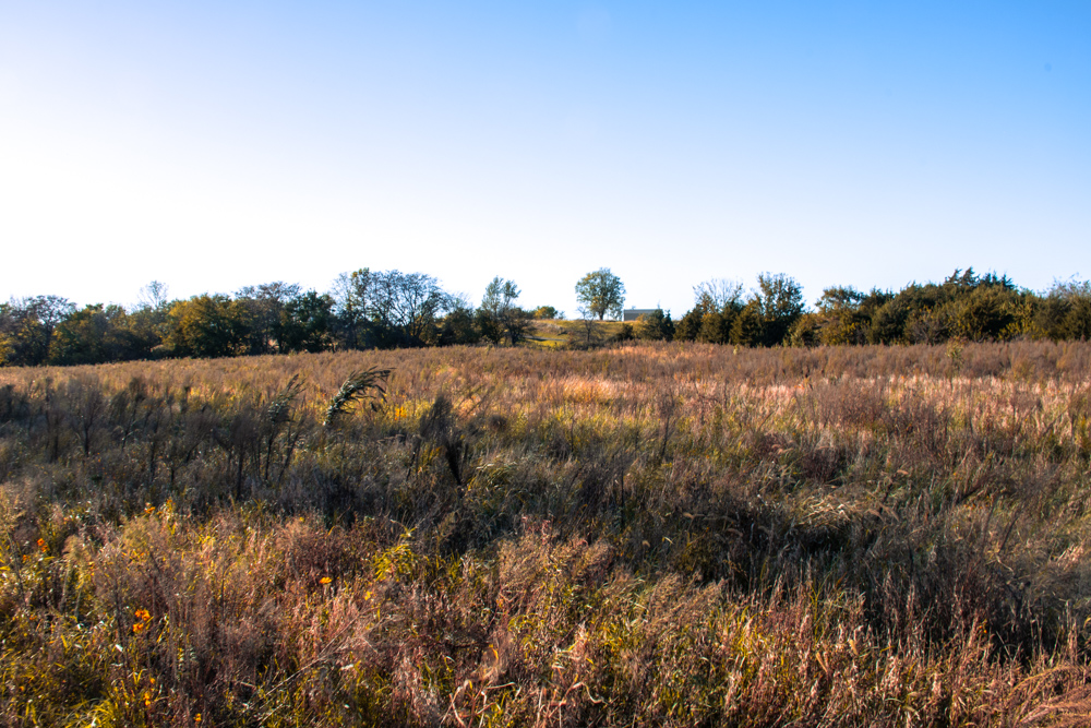 Country Living with Income