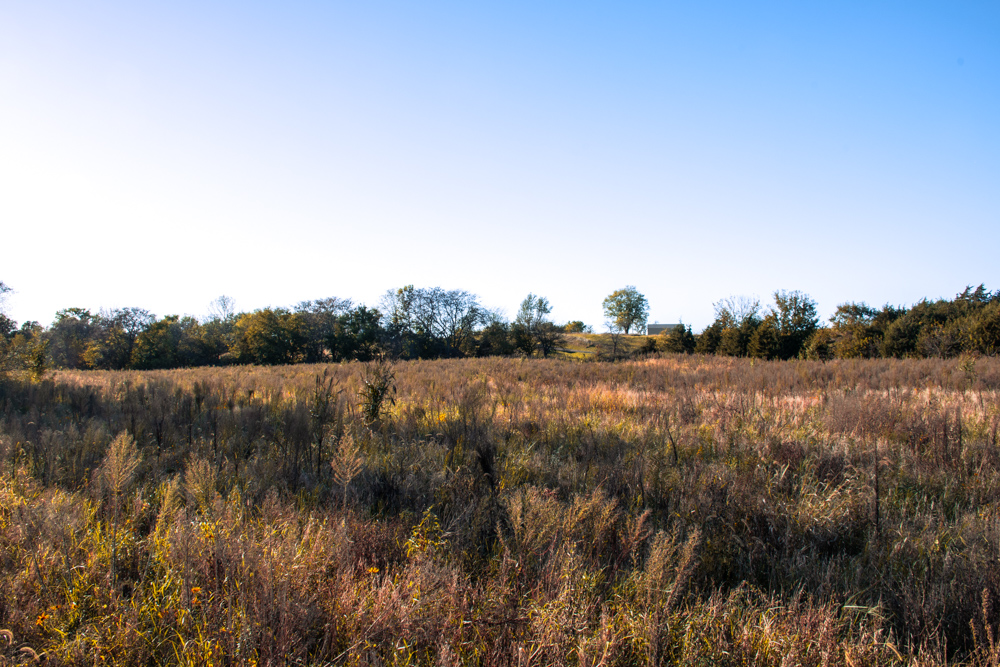 Country Living with Income