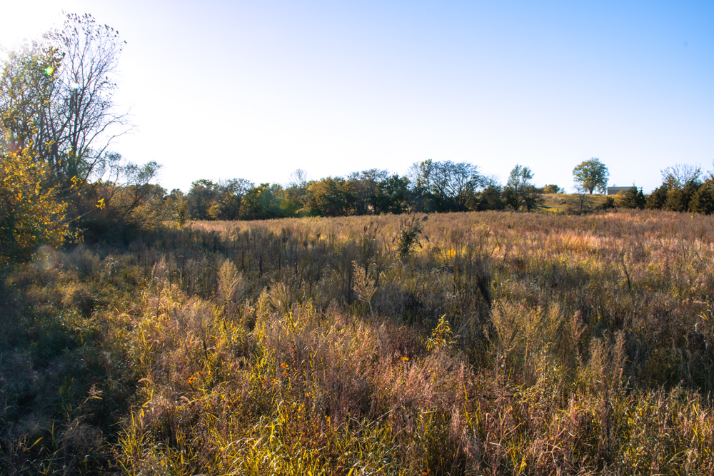 Country Living with Income