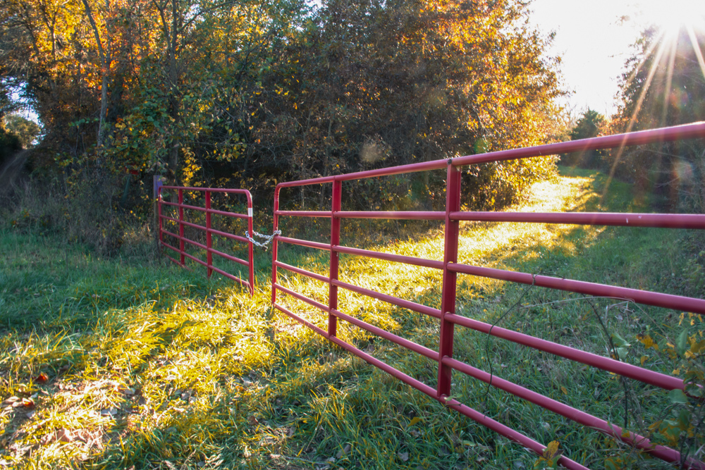 Country Living with Income