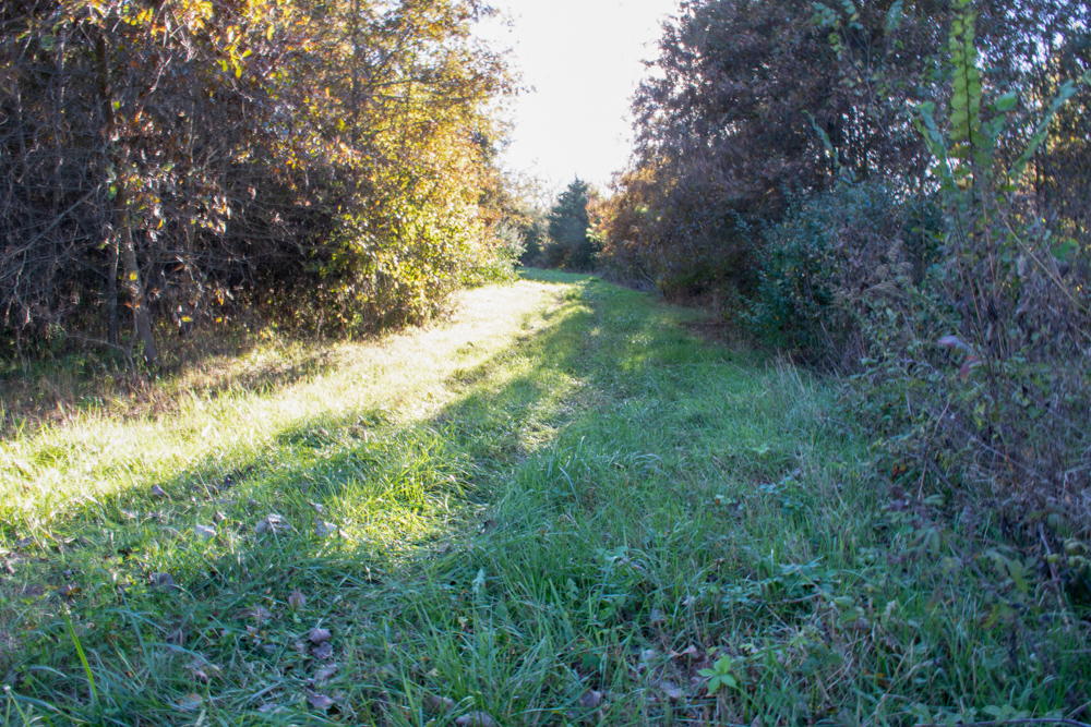 Country Living with Income