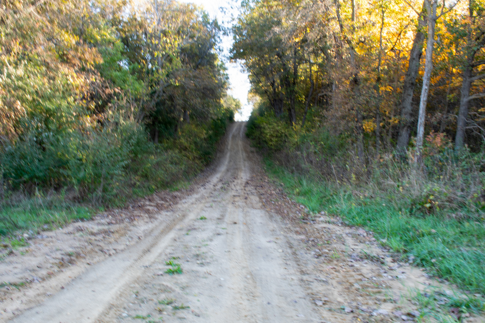 Country Living with Income