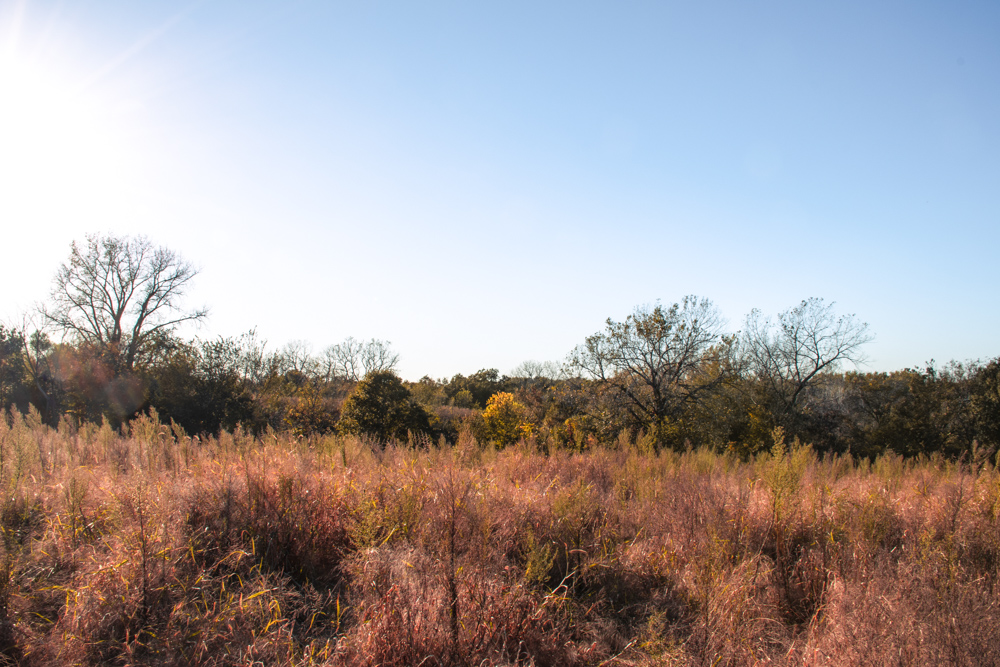 Country Living with Income